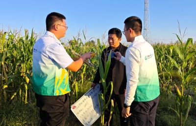 中国人寿财险德州中支开通快速理赔通道解受灾农户燃眉之急 较正常流程提前40个工作日