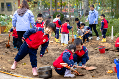 诗｜董玮：落花（外一首）