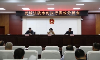 武城县人民法院召开审判执行质效分析会