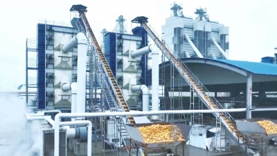 中国银行德州分行专项贷款助力秋粮颗粒归仓  