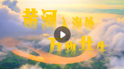 黄河入海处，万物共生