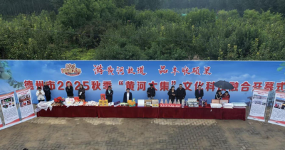 古桑新生，金梨“智”变！看夏津如何出圈