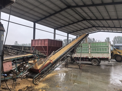 宁津：多措并举应对阴雨天气 全力保障秋收秋种工作