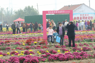 以花为媒 兴产助农 | 庆云县优质农产品展销会暨第三届菊花文化节举办