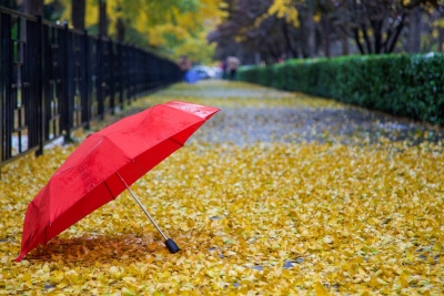 诗｜李荣田：乙巳秋雨