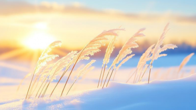 散文｜李兴智：神头之“谜”