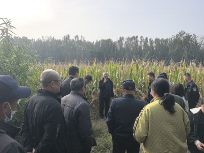 新区办：专家田间地头“把脉问诊” 助力秋收秋种提质增效