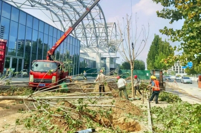 德州天衢建设发展集团天衢园林：精修“绿色家底” 强健发展根基 | 冲刺四季度 打好收官战⑦