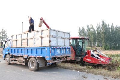 德州天衢新区：干群同心，与天争粮