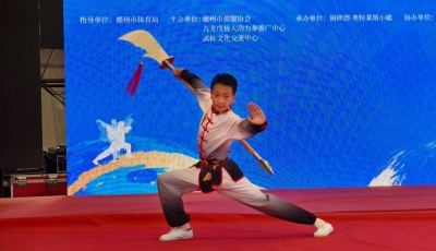 2025德州南拳北腿传统武术精英赛举办