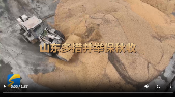 齐鲁“抢秋”丨智能烘干、移动烘干机、空中搬运、专家支招……山东多措并举保秋收