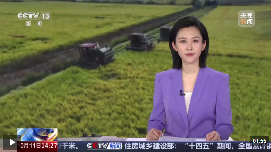 山东 克服阴雨天气 全力推进秋粮抢收工作