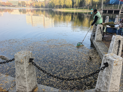 德州园林：织密秋冬落叶“清扫网”  守护游园绿道洁净畅通