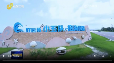 以片区建设为抓手 实现从“一村兴”到“一片强”｜片区化推进乡村振兴的山东实践