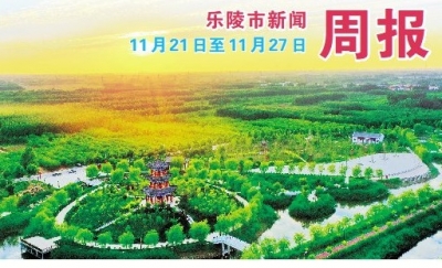 乐陵市新闻周报（11月28日至12月4日）