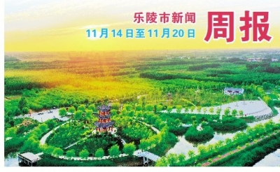 乐陵市新闻周报（11月14日至11月20日）