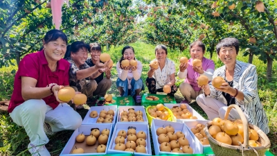 走在前 挑大梁·片区化推进乡村振兴的山东实践 | 铁营镇：盐碱地里蹚出共富路