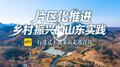 直播 | “片区化推进乡村振兴的山东实践”行进式主题采访走进青岛