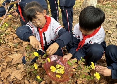在四季轮回中播种希望 | 德州天衢新区杨庄小学构建劳动教育新生态