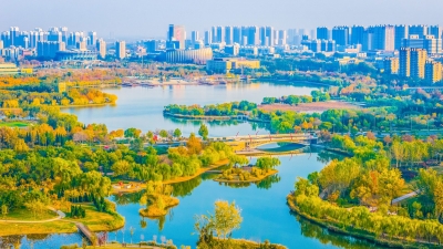 德报读图 | 多彩之城竞斑斓