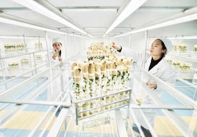 乐陵：服务直达 构建科创生态圈