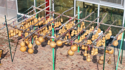 新区人物 | “烙笔生花”马俊国：挖掘机手与他的“福禄”世界