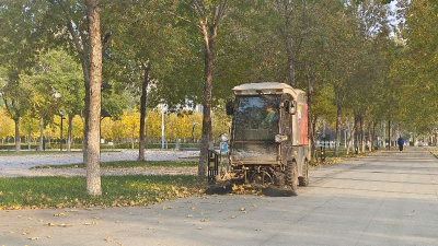德州园林：科学清扫落叶，提升城市环境