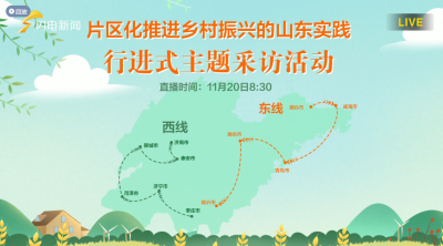 片区化推进乡村振兴的山东实践——看潍坊寿光“七彩番茄”如何玩转育种产销全产业链