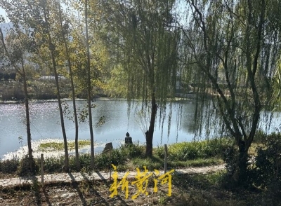 仲虺故地焕新颜，邹城钓鱼台村：“美丽+产业”双buff激活乡村振兴密码