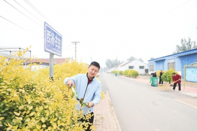 王凤楼镇南街新村：“森林村居”生活美