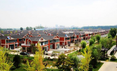 片区化推进乡村振兴的山东实践｜“片区化”何以蹚出振兴路？