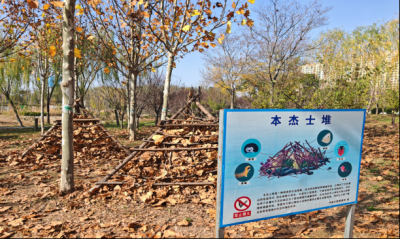 石块+枯枝=？来德州月湖公园寻找答案吧