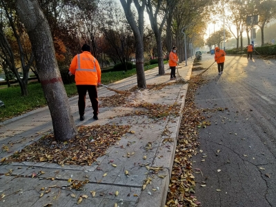 德州环卫：寒风卷叶落不停 高效清理护洁净