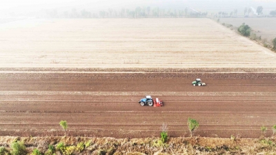 乐陵：快速精播 智慧农机省种保全苗