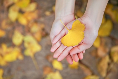 诗·视频｜雪梦：忆小雪