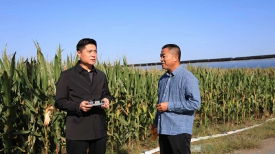 ​平原县前曹镇宫徐村杨荣峰：我要让村民日子更红火