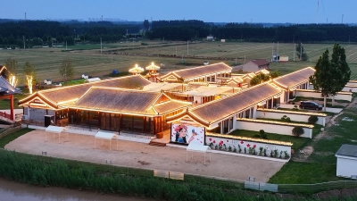 走在前 挑大梁 ·片区化推进乡村振兴的山东实践 | 桃园街道以产业联动聚合力，以治理共享暖人心—— 协同发展绘就城乡融合新画卷