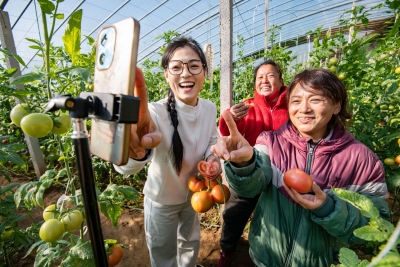 德报·蹲点调查 | 德州：直播间里“长出”十大产业带