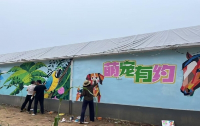 赵虎镇 | 雁归故里筑梦乡村 打造人才振兴新样板