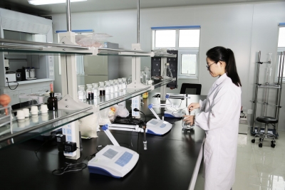 牛蒡“长个”，身价倍增！一根普通作物如何撬动近五倍增值空间