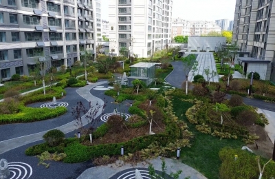 诗｜郑凌红：流逝（外一首）