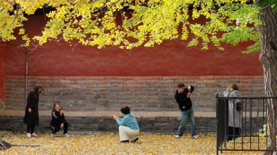 诗｜王凤庭：如果写滋镇