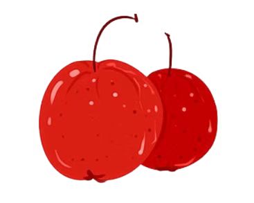 散文｜祖新兰：初冬话山楂