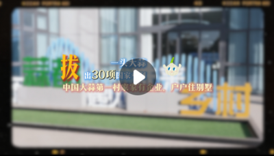 片区化推进乡村振兴的山东实践｜一头大蒜“拔”出30项国家专利，中国大蒜第一村家家有企业、户户住别墅