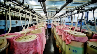 四中全会精神在基层 | 德信羊绒 ： 一根纱线引领市场新潮流