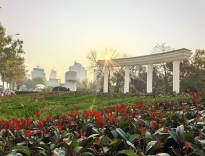 秋末冬初美景如画！德城诚邀游客赏景游园  