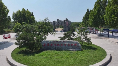 沿着黄河遇见海丨山东夏津：桑田“生金”棉海织梦 黄河故道的农旅融合新路径