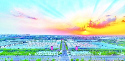 泰山体育产业集团荣获第十届山东省省长质量奖提名奖 | 47年匠心打磨锻造“硬核”品质