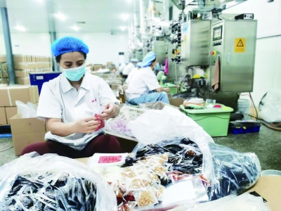 乐陵寨头堡乡做活“三篇文章”， 盘活闲地，村民“就业不出村”