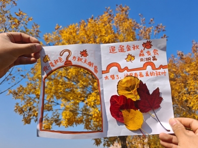 德州月湖公园：告别“即落即清”，“慢”行动守护园区生态美